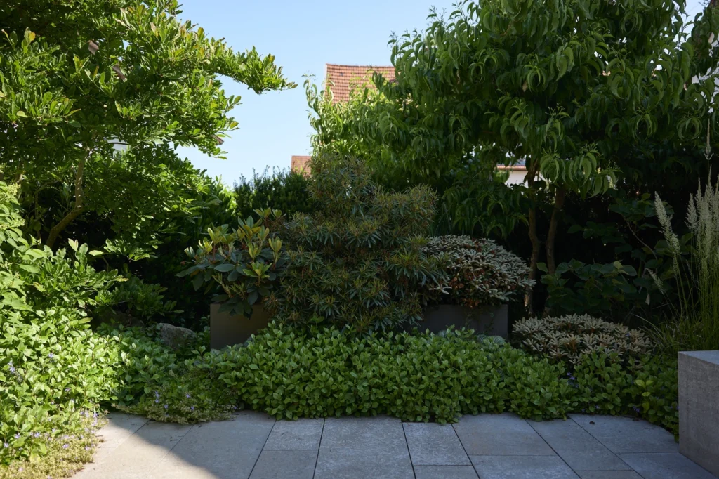 Ehmann-Gartengestaltung-0051