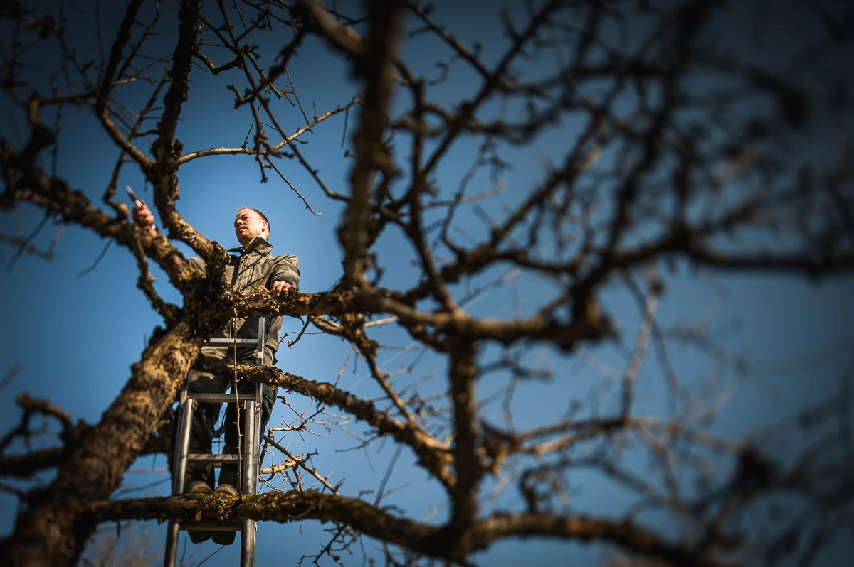 Ehmann-Gartengestaltung-0055