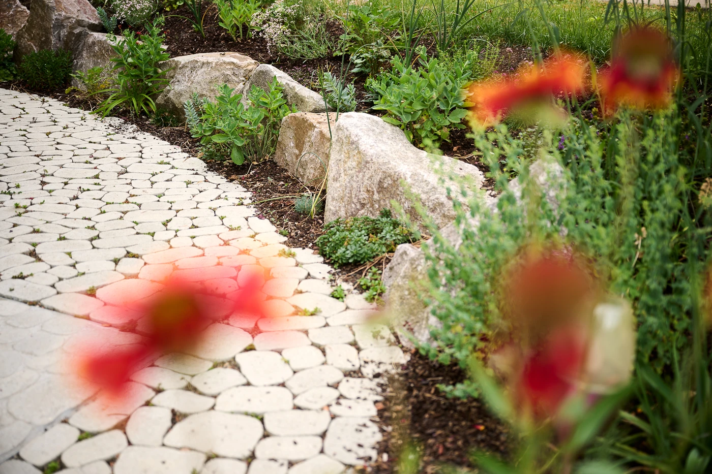 Ehmann-Gartengestaltung-0143