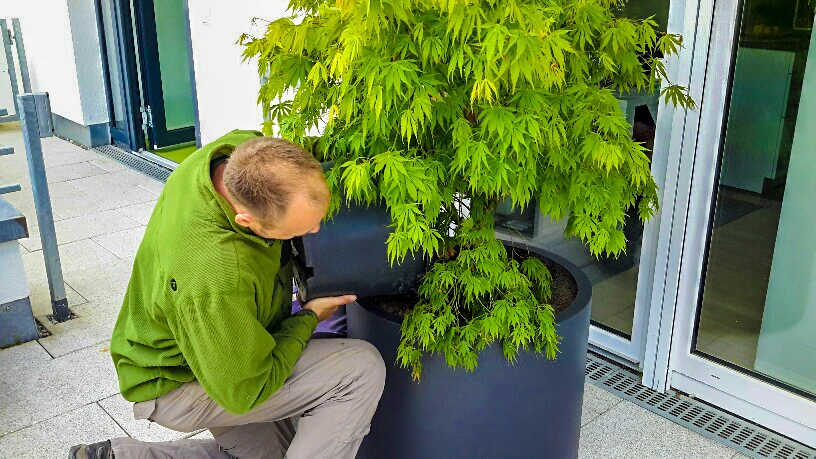 Ehmann-Gartengestaltung-0162