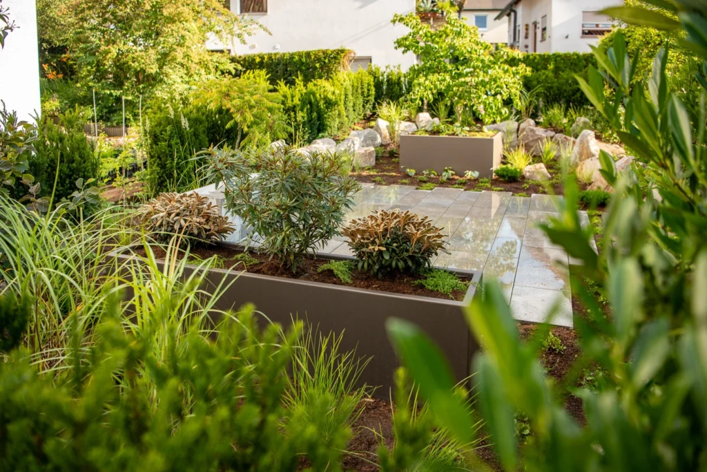 hecke_pflanzen-natur_stein-eiben_als_hecke-immergr_ne_str_ucher-sichtschutz_garten_mit_pflanzen-Ehmann-Gartengestaltung-0067