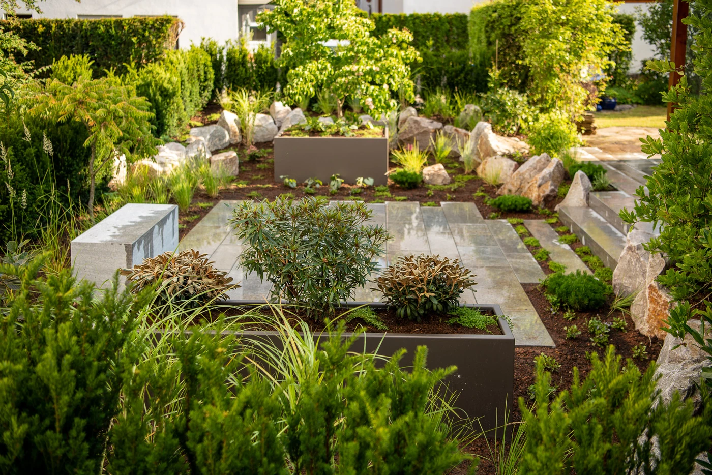 hecke_pflanzen-natur_stein-eiben_als_hecke-immergr_ne_str_ucher-sichtschutz_garten_mit_pflanzen-Ehmann-Gartengestaltung-0068