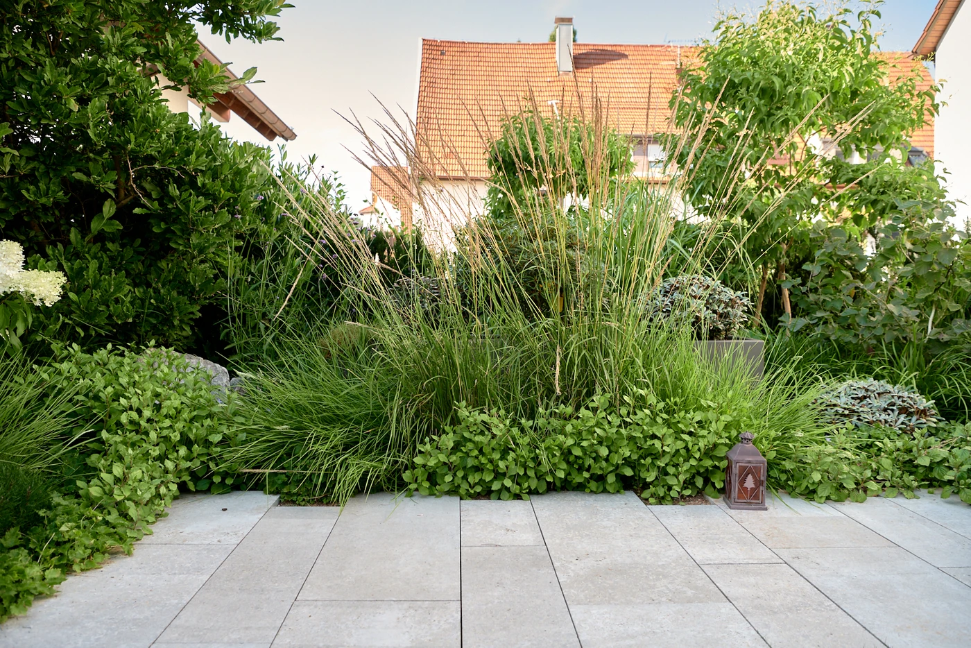 hecke_pflanzen-natur_stein-eiben_als_hecke-immergr_ne_str_ucher-sichtschutz_garten_mit_pflanzen-Ehmann-Gartengestaltung-0069