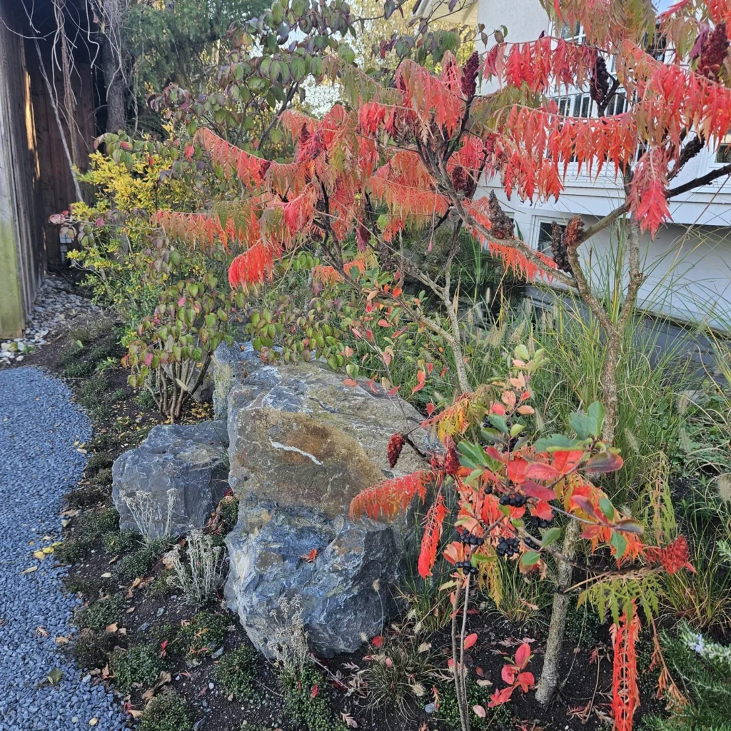 natur_stein-garten_landschafts_bauer-gestaltung_garten-baum_pflege-natursteine_f_r_gartenweg-Ehmann-Gartengestaltung-0027