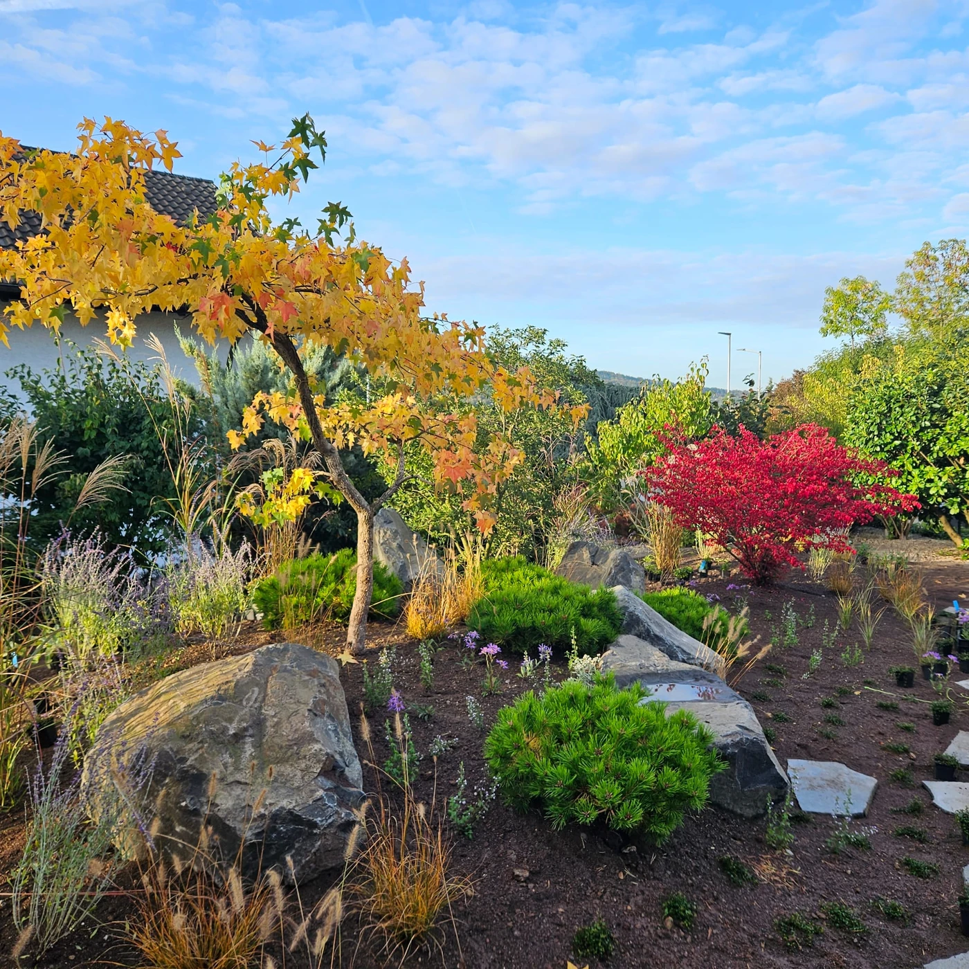 natur_stein-garten_landschafts_bauer-gestaltung_garten-baum_pflege-natursteine_f_r_gartenweg-Ehmann-Gartengestaltung-0031