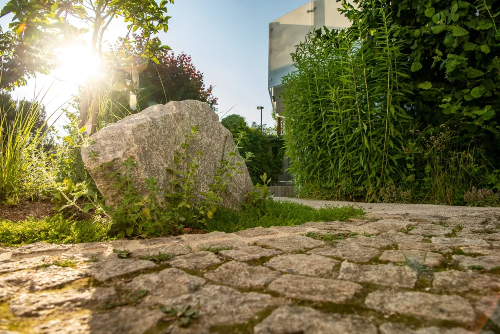 vorgarten_gestaltung-garten_und_landschaftsbau-sch_ne_g_rten-vorgarten_pflanzen-baum_pflege-Ehmann-Gartengestaltung-0014