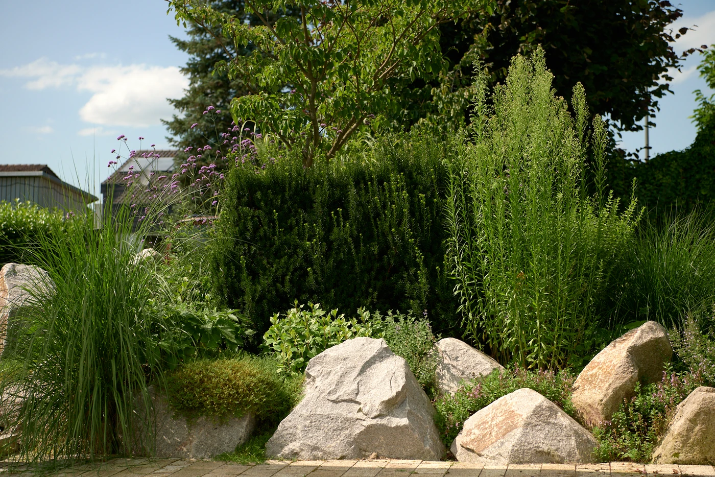 vorgarten_gestaltung-garten_und_landschaftsbau-sch_ne_g_rten-vorgarten_pflanzen-baum_pflege-Ehmann-Gartengestaltung-0017