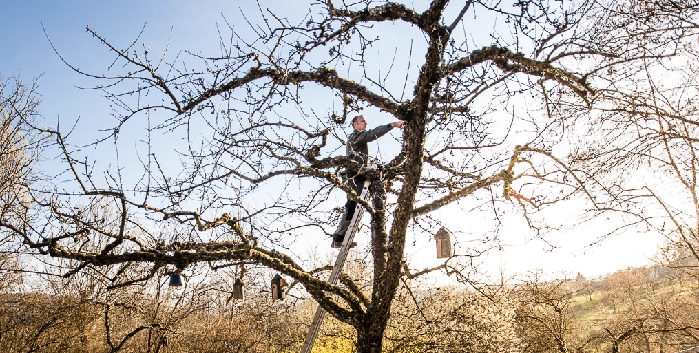Ehmann-Gartengestaltung-0365