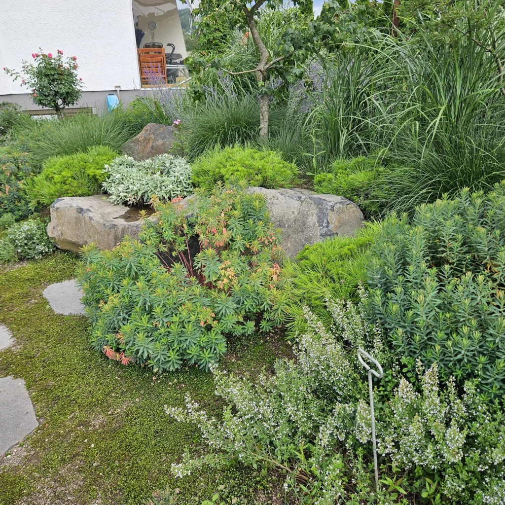 Ehmann-Gartengestaltung-102721